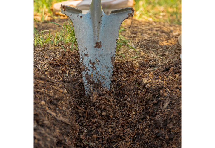 42V5WK08NS03nqdxbRt5Iz