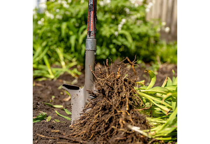 5jq6EEtEjDIUNfIWh1pn7e