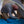16Wt7nC1XQtXytBYQHXYcR