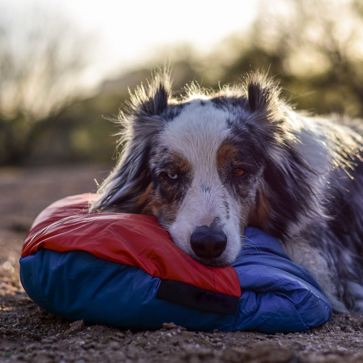 5tXvpPGa9rnhmJ7bS3FPiV