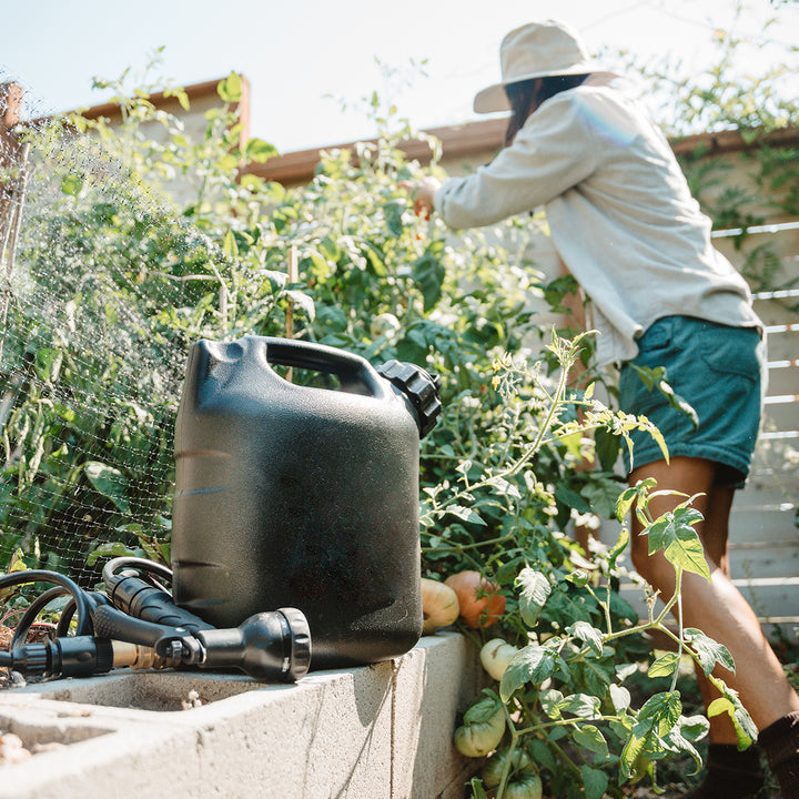 31dQSdNrPThn0M9cJtKwjr