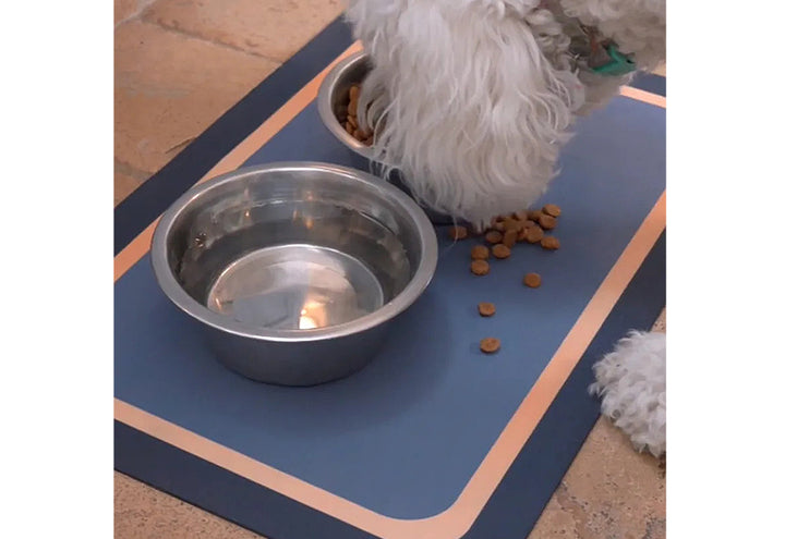 IWyzxoNXLVaXJu0TATVSn