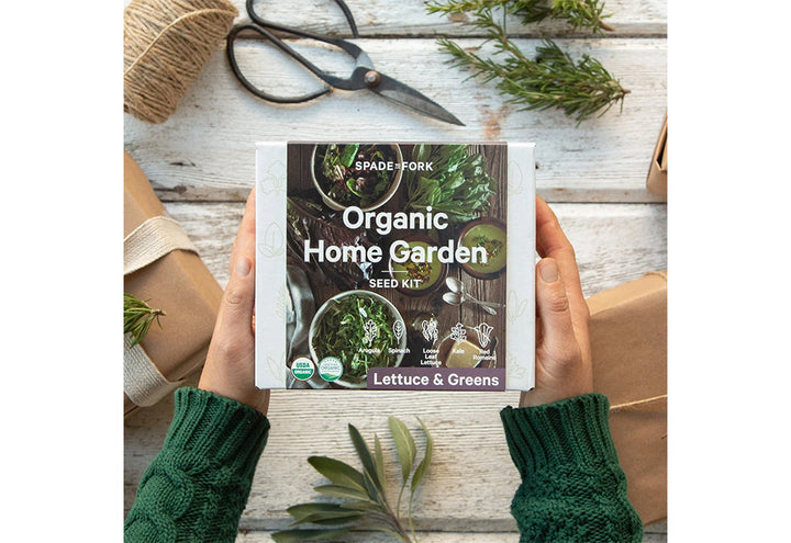 712xkirztNHSBtQd8udc2B