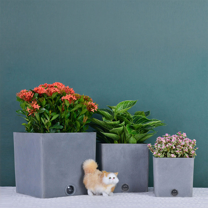 3NQeQqcnidzV9VpfXWyVcc