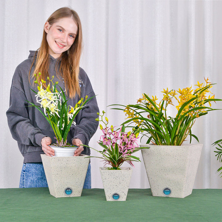 3PhB6Uw0r7pTGyQAlbp1ec