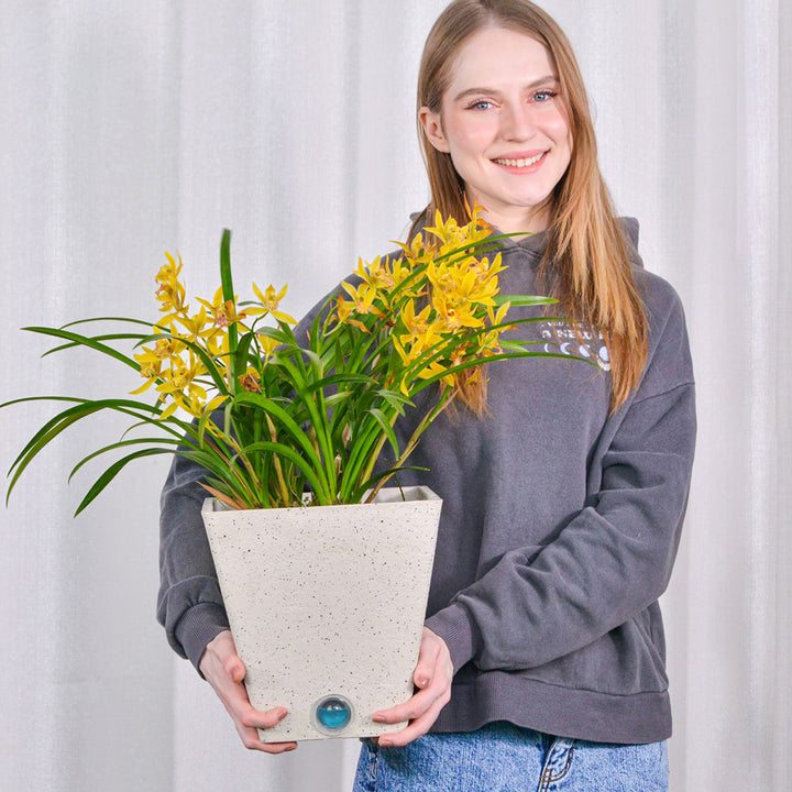 4da31lZbcm3E8vZ1EcaRFD