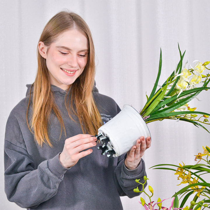 7rzdw9gZmvmjt6MAP3YW7j