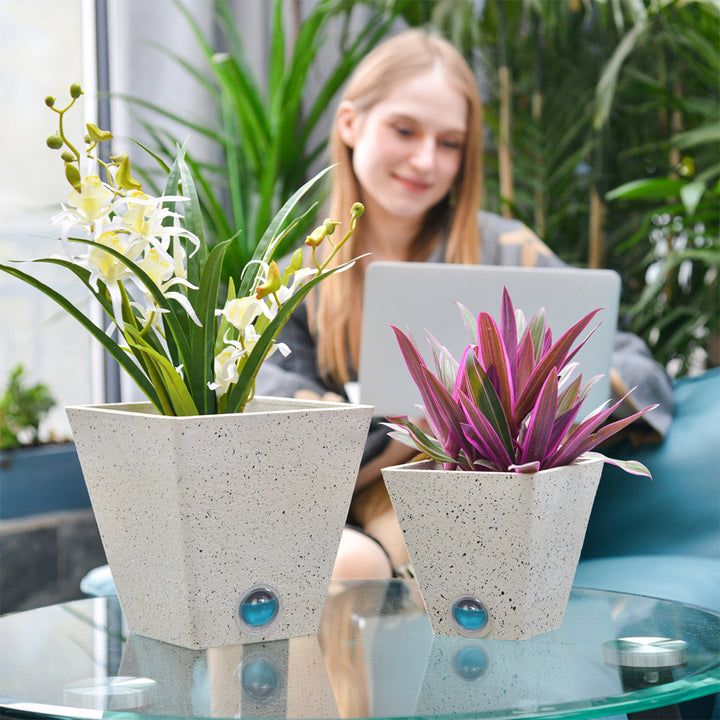 4FYMXXDvAbnqJcvJ1E6hkb