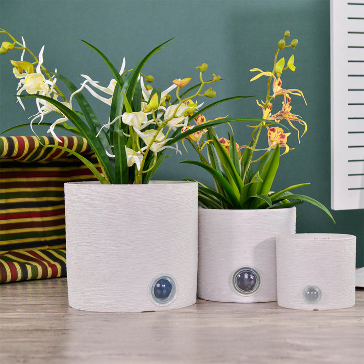 b1OzZVp2et53MUvKCL4e0