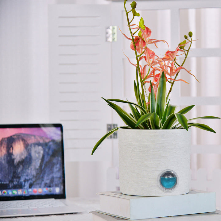 4iOIiuGvdCT9EFMqvTQk5i