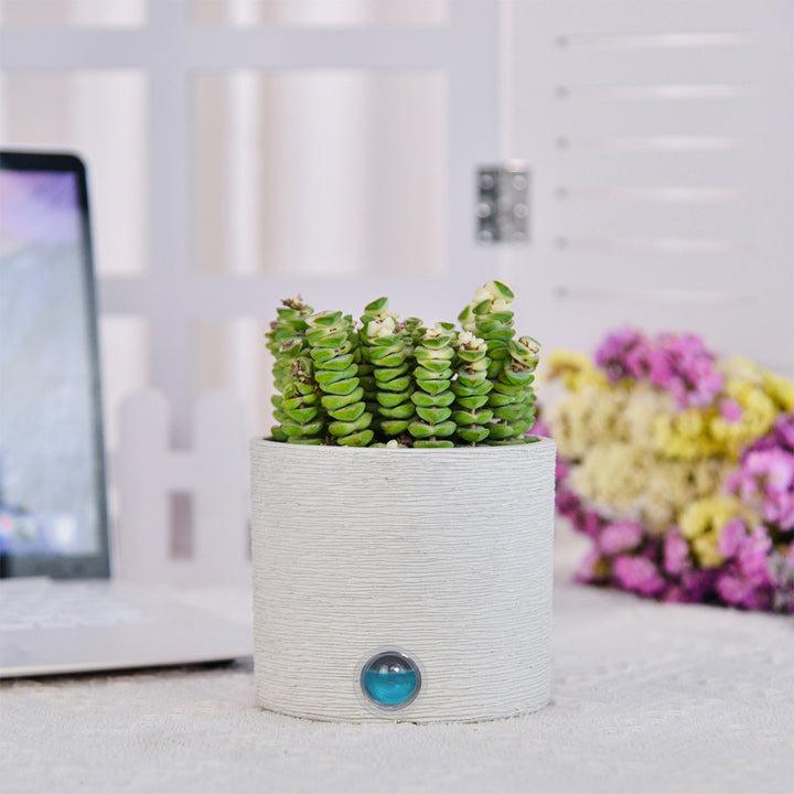 2OYFrgIxkRffuSYMGajGF4