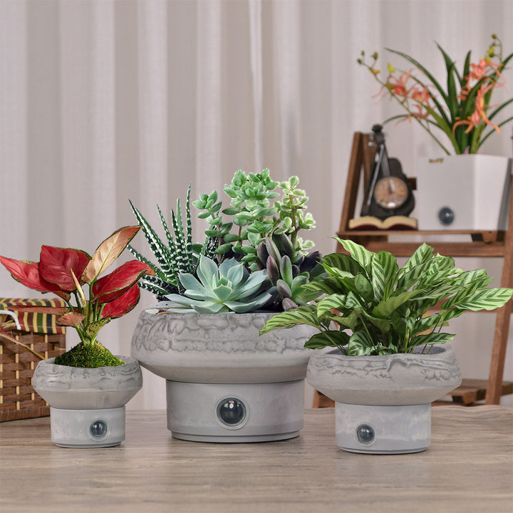 MAsj5GN1QD4OhMEXyszEO