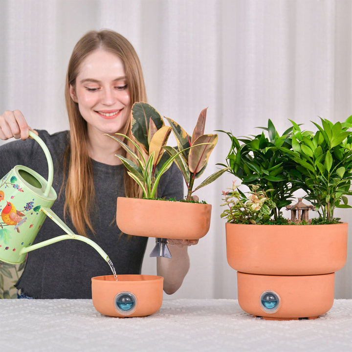 5M1jP5OWOtpO3RFl729RQJ