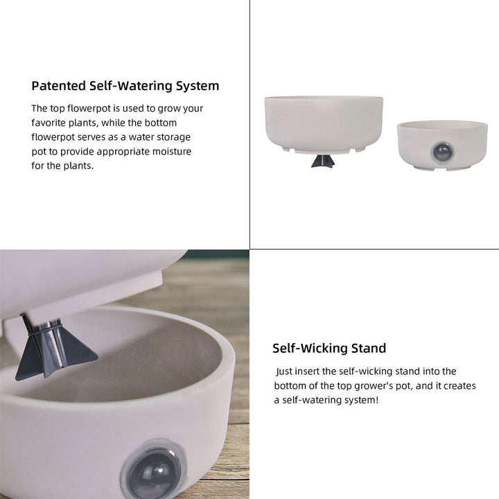 406np2GJiee6NZ7z2C7bs6