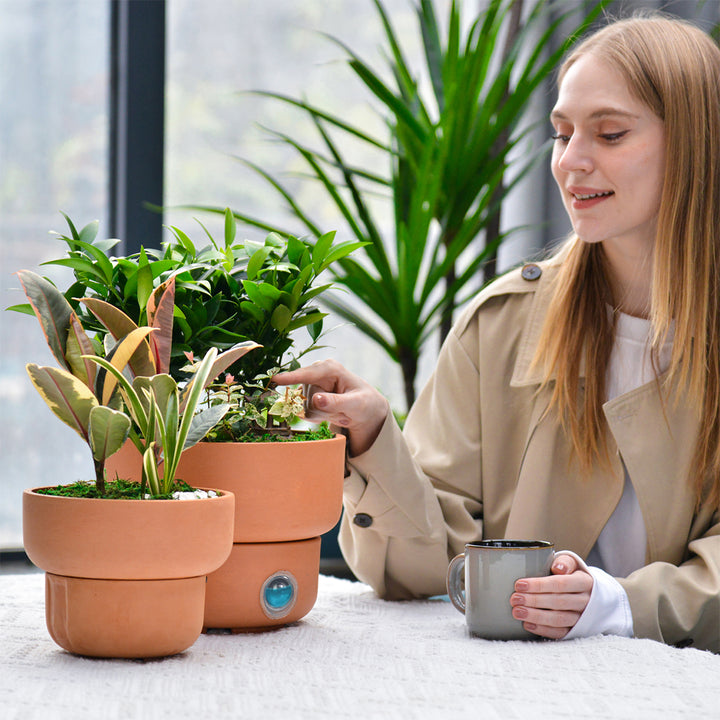 5iqfP3ibWzDzTNptVtBzDK