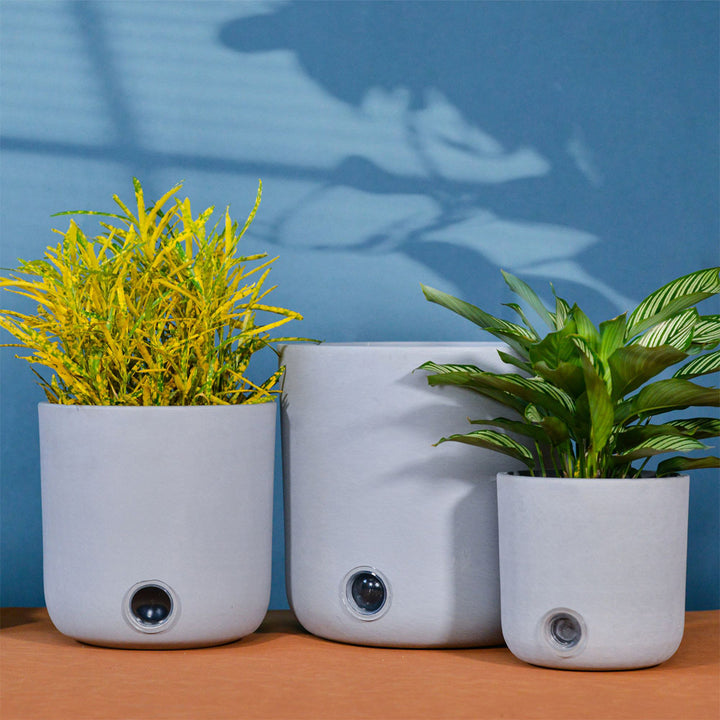 2ZCs3rmvegrxD1ChsFAzAx