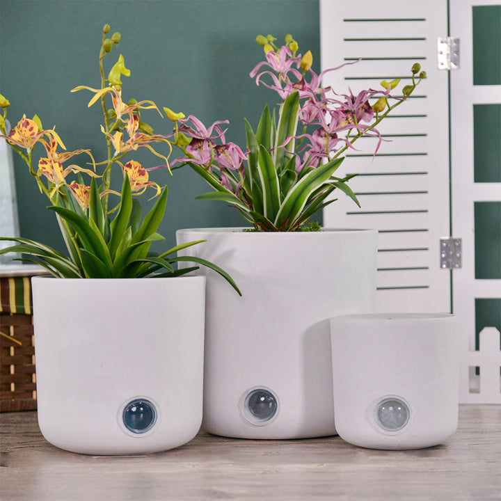 5qD0tmI2rMmqfg7dTjYVtt