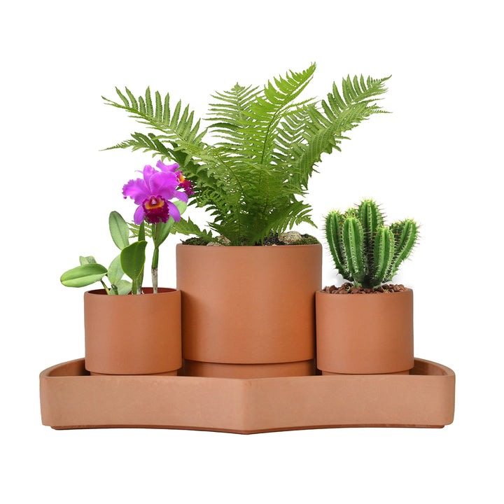 4mntPuYa5EmjLRKx5hTcqU