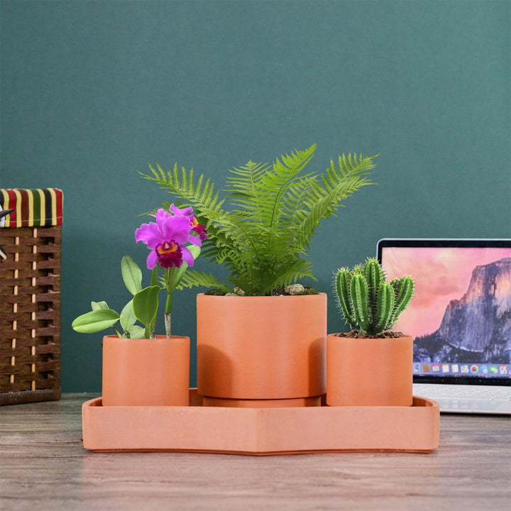 4FTVEqItxxDJQraqlmdLQG