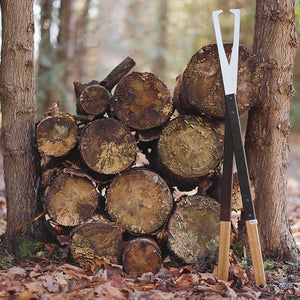 6xIQJD2aldV8gQAUVN4MFe