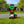 5NwQOjvZSwgpmLBTN4UbcZ