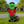 2ZcNFjZQ3M1GWRT2mw5rPb