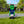 3BYS5MLPpR1l0fYianbUYt
