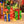 6iqwbxlro1pZ7P75OY4x1J
