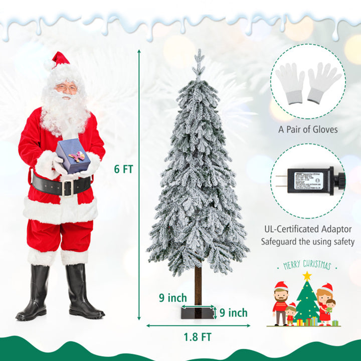 1xmz6EVMqQH7Ohzwq42kdl