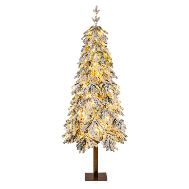 3czWViHXWox2m15N9axfLY