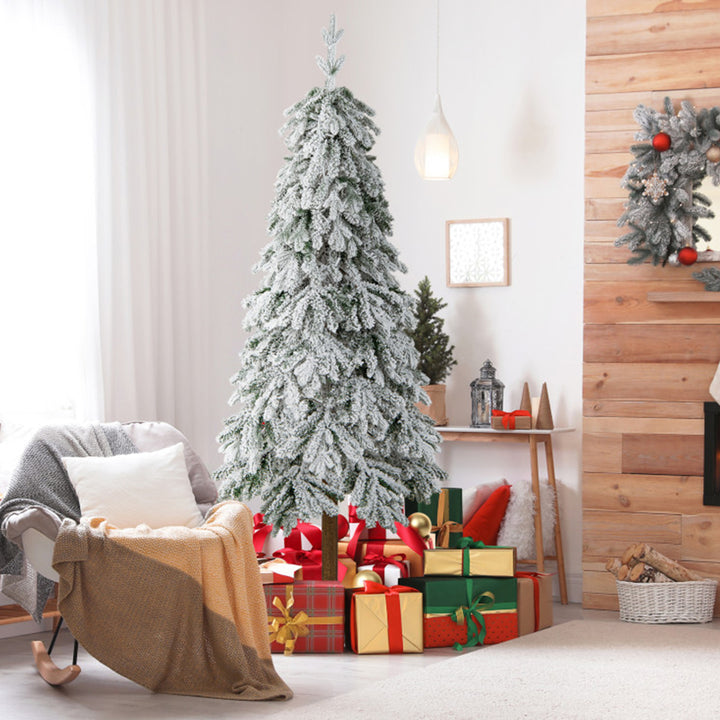 4vDiDu9ZsvRB5nog6iANZJ