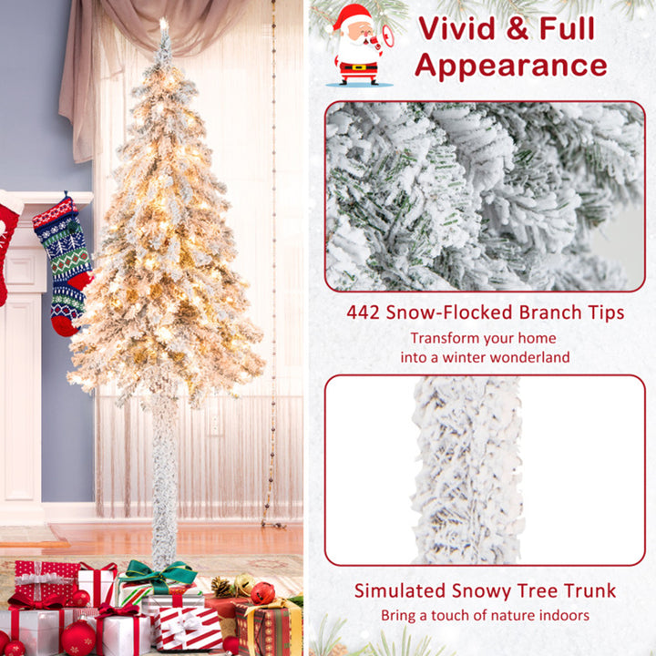 61WRXAsri4591XI3BzSQW9