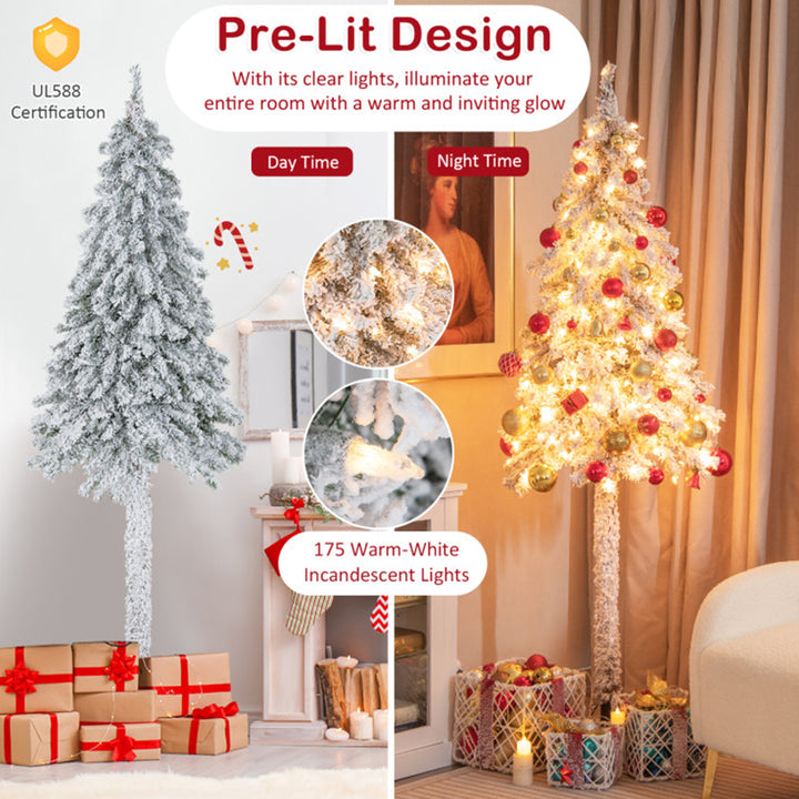 gCHPE50l63X7AADVpGpq0