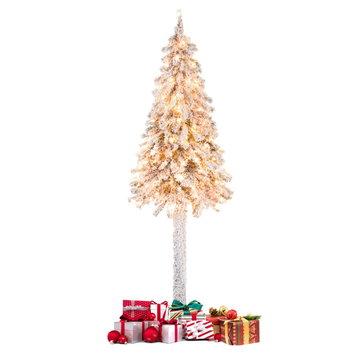 3q3MmIQBMuv8IvNYCPopbF