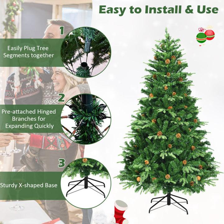 72FVi20zN6ERywrc9lC4p2