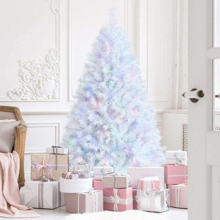 4dupjFthx6Xp1mJQTfUoEf