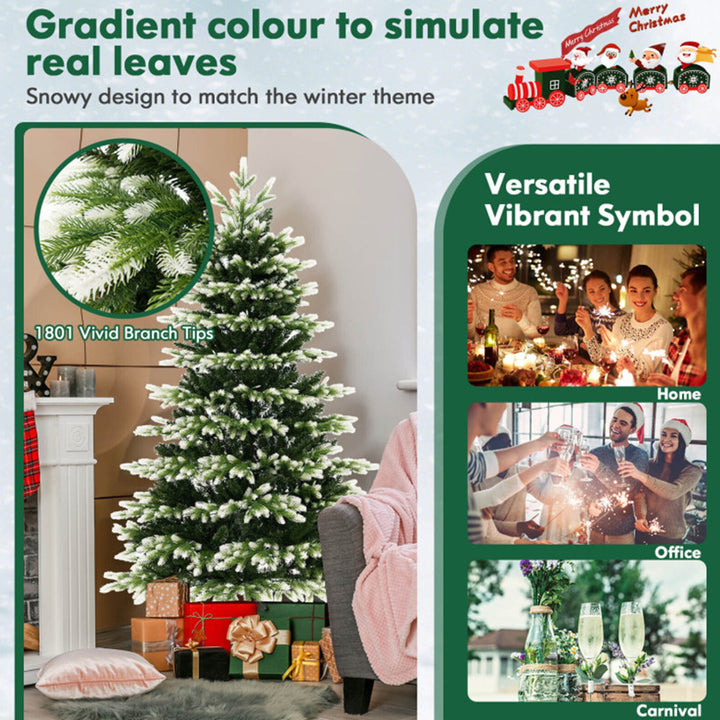 IWKXjrn80rGTVejBOQ7LV