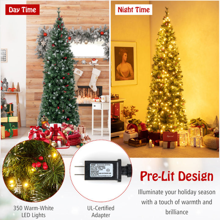 TR34py9TZAujWIBiM5KhZ