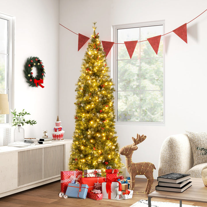 5zkoBiyMYxS8RSotyb4dbX