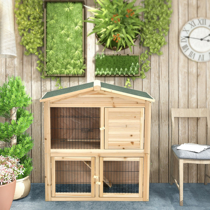 2nViF174ZCo3So5WL1zNzA