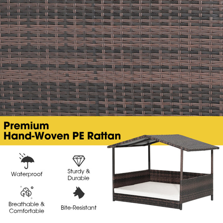 1XweQ16wRGrVbExvewxUNm