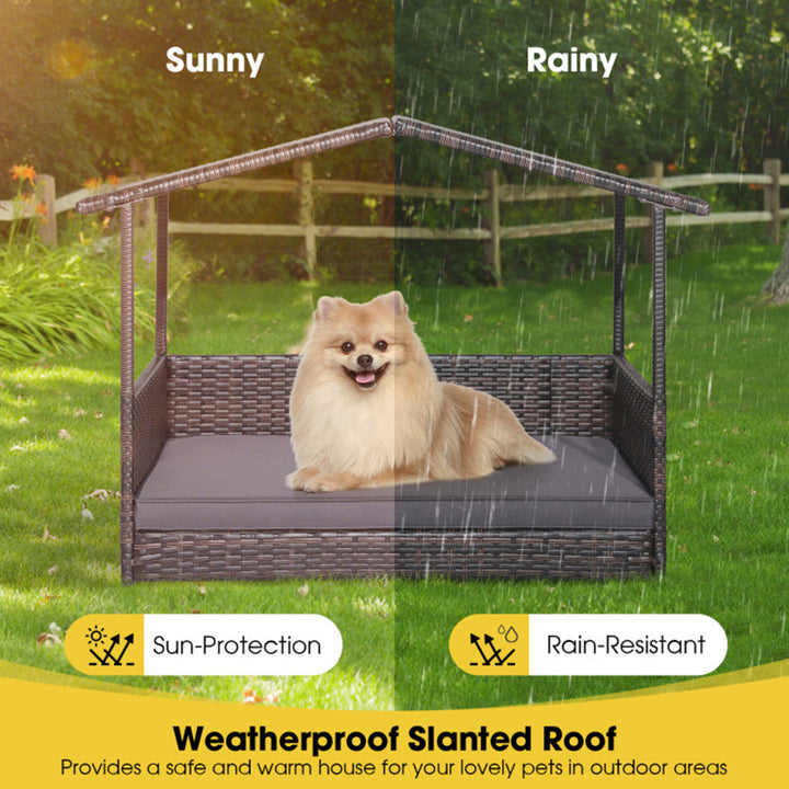 5huWOIHd3GOGZ9wQawNwk6