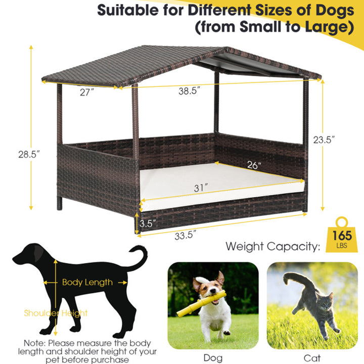 4D9XId7ZF3SwcMWW0QnSUk