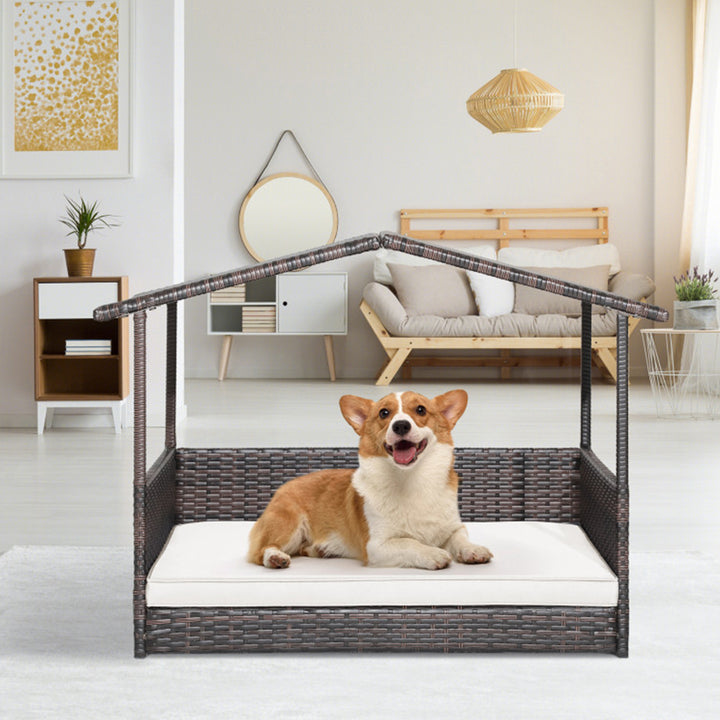 6nBabtGtSArqZPMRkKesFf