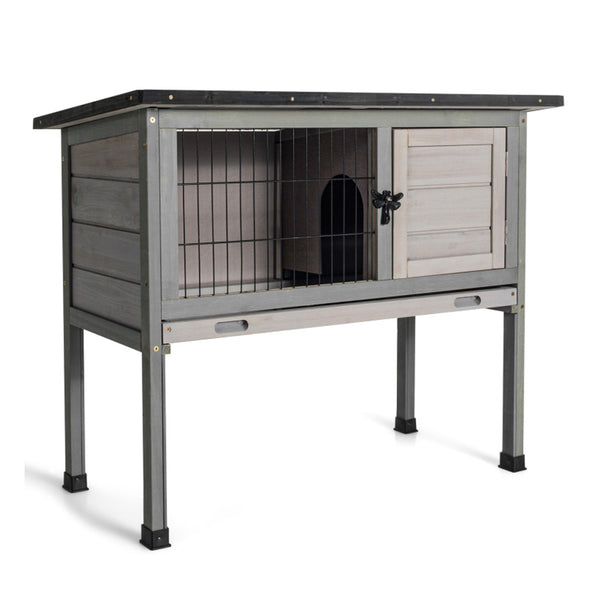 4Sox1ddpQ3bhIzRWWNcphJ