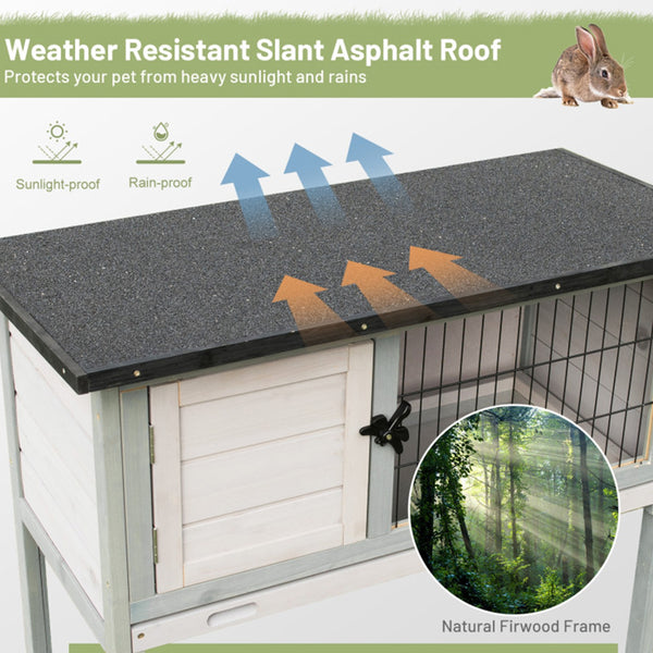 6D4JqG1rut7WDknE36nJyg