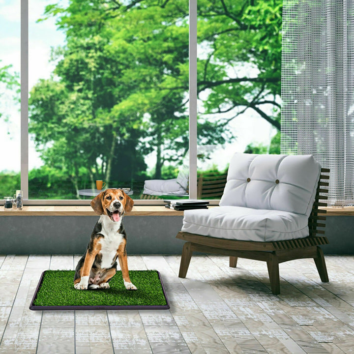 4iNWgDei4NwkmB9PsDJJxJ