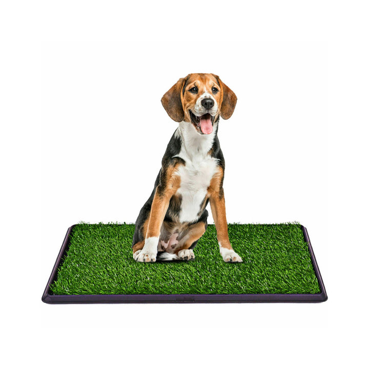 4ppqixt2FxRorG7kLYd3Ef