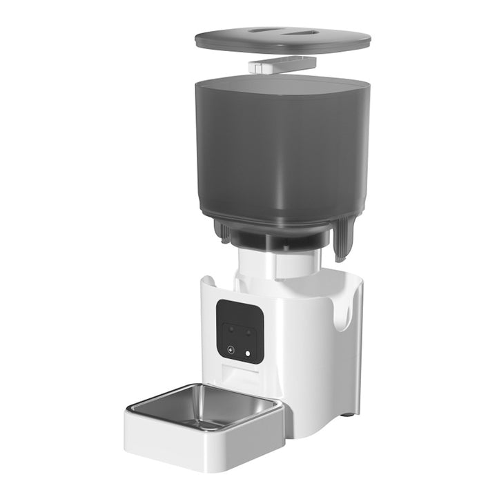 4g9gqCA0GyXzAhZTTKKJDB