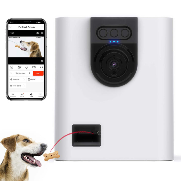 4YqwzA920eYQvnMLxzNslz